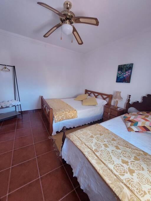 Casa Amarela - Praias Alqueva Povoa de Sao Miguel Eksteriør billede